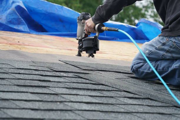Best Roof Gutter Cleaning  in Brockway, PA